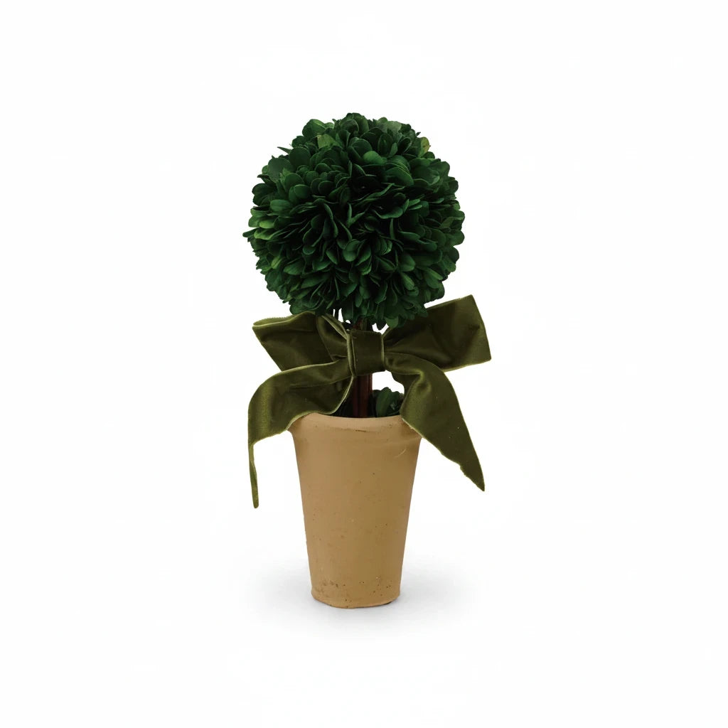 Mellow Monkey preserved boxwood topiary sphere in a terra-cotta pot with a decorative green velvet bow