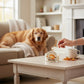 Mellow Monkey Pumpkin Spice Pet House mini candle being lit on a coffee table with a golden retriever in the background