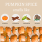 Mellow Monkey Pumpkin Spice vegan artisan soap bars featuring pumpkin, cinnamon, cardamom, and nutmeg scent notes.