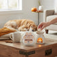 Mellow Monkey Pumpkin Spice wax melt paw-shaped package next to a ceramic warmer on a wooden table with a dog nearby