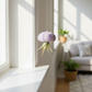 Mellow Monkey purple sea urchin shell hanging with a live Tillandsia air plant near a bright window