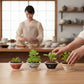 Mellow Monkey Ramen Garden kit with four ceramic bowls containing growing bok choy, garlic, mitsuba, and scallions.