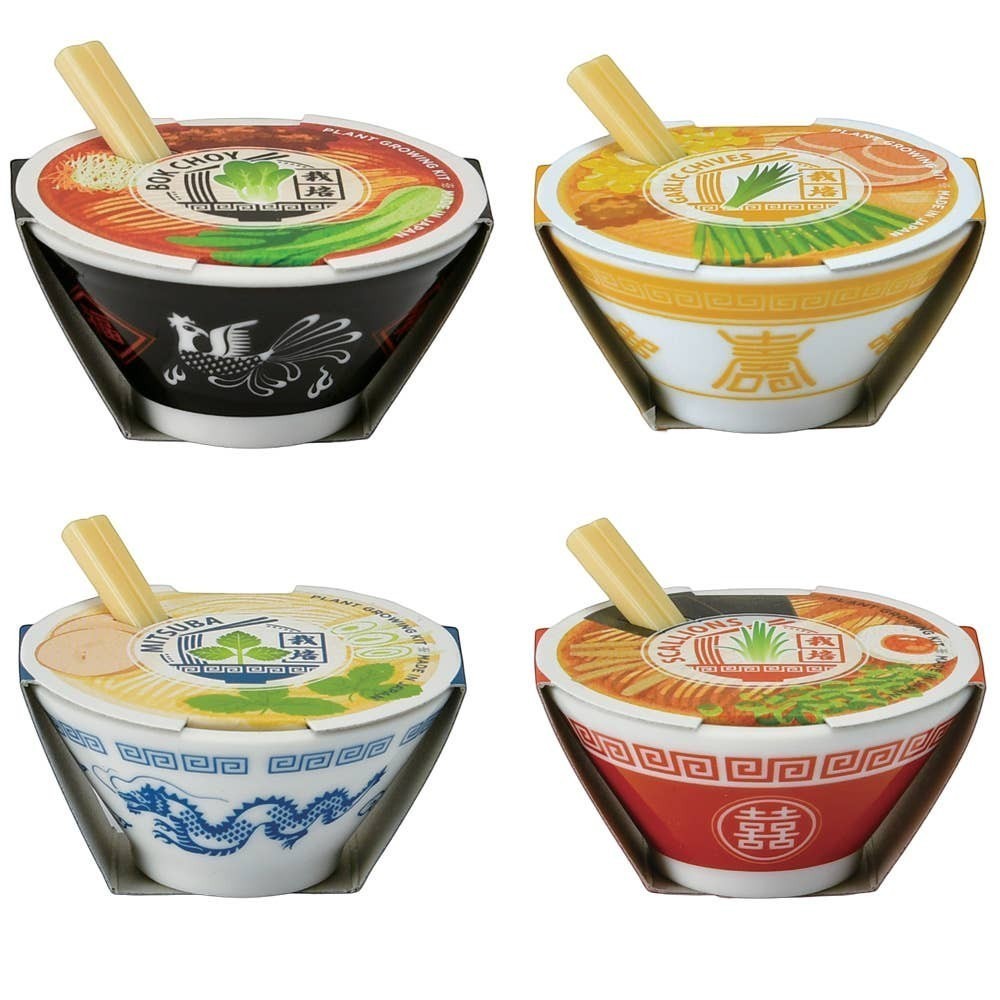 Mellow Monkey Ramen Garden plant growing kits in four ceramic bowls with seeds for bok choy, garlic, mitsuba, scallions