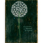 Mellow Monkey Resilience Is Rooted In Love gallery wrap wall art featuring a white dandelion on a dark distressed background