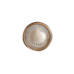 Mellow Monkey set of 6 resin convex shell magnets, featuring real shells under a clear dome with a gold rim.