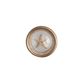 Mellow Monkey resin magnet with a real starfish encased in clear resin with a gold rim. Set of 6.