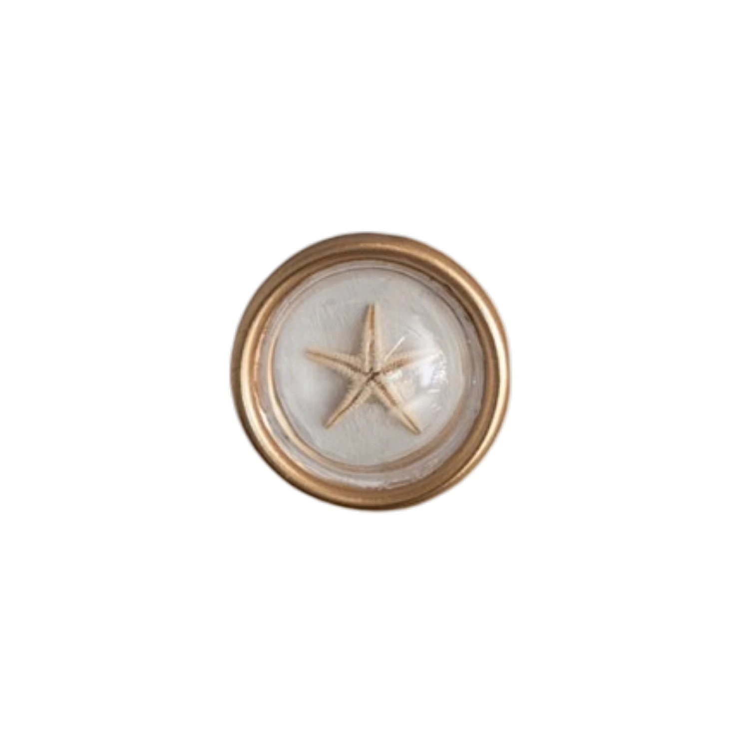 Mellow Monkey resin magnet with a real starfish encased in clear resin with a gold rim. Set of 6.