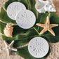 Mellow Monkey sand dollar stone coasters on a tropical leaf with seashells and starfish for coastal home decor