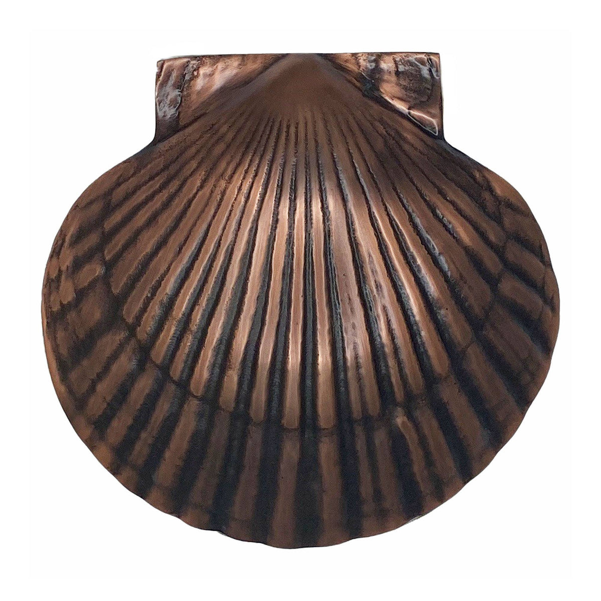 Mellow Monkey handcrafted scallop shell door knocker in oiled bronze finish with detailed radiating lines