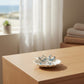 Mellow Monkey sea life earrings with aqua crystals on a white shell dish by a sunny window