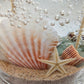 Mellow Monkey Sea Shell Beach Treasure gel candle featuring embedded seashells, starfish, and sand in clear gel wax.