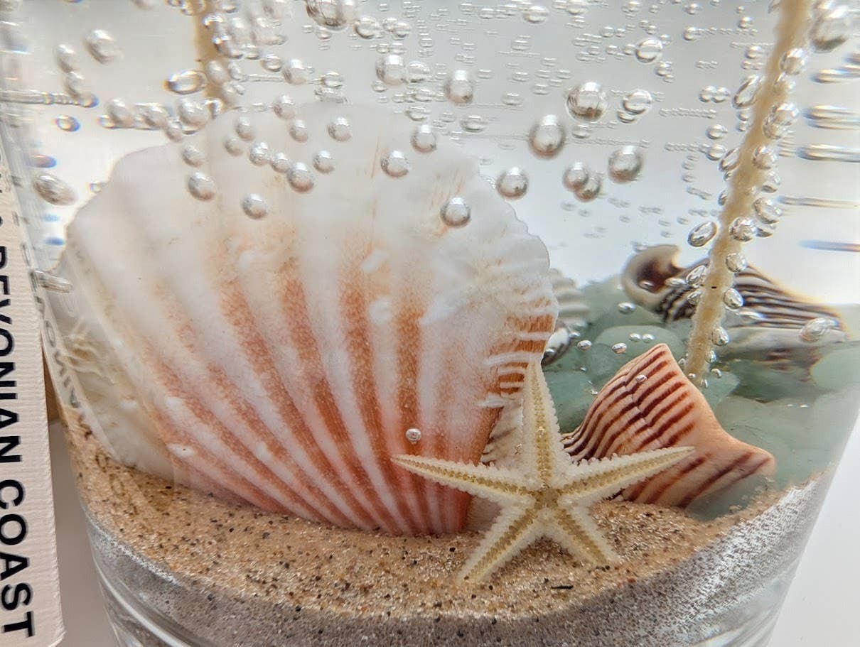 Mellow Monkey Sea Shell Beach Treasure gel candle featuring embedded seashells, starfish, and sand in clear gel wax.