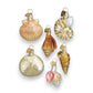 Mellow Monkey assorted glass sea shell ornaments in gold, white, and pink hues with glitter accents.