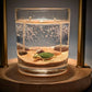 Mellow Monkey 8oz sea turtle ocean gel candle with double wicks, sand, and seashells in a glass jar.
