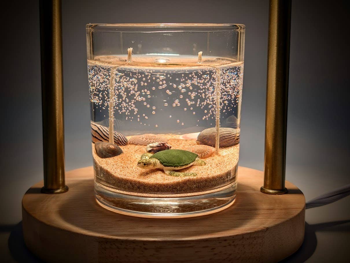 Mellow Monkey 8oz sea turtle ocean gel candle with double wicks, sand, and seashells in a glass jar.