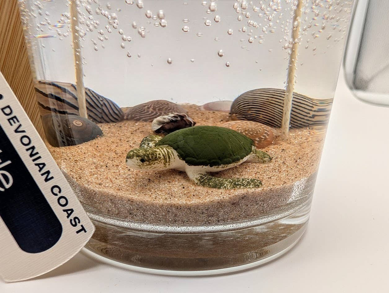 Mellow Monkey Sea Turtle Ocean gel candle with a green turtle figurine, sand, and seashells in a clear glass jar.