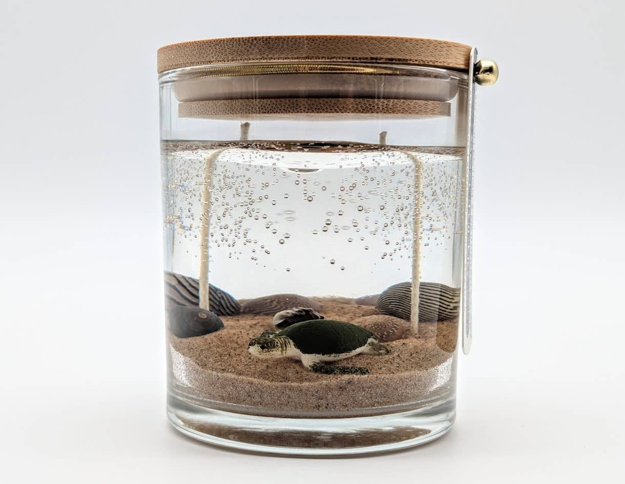 Mellow Monkey Sea Turtle Ocean gel candle with double wicks, sand, seashells, and a wooden lid in a glass jar.