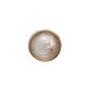 Mellow Monkey set of 6 resin seashell magnets, each featuring a unique shell under a clear dome with a gold rim.
