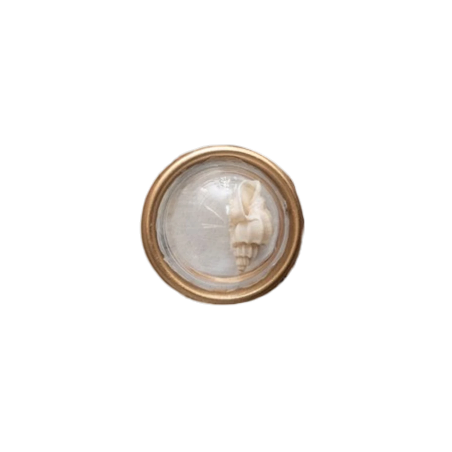 Mellow Monkey set of 6 resin seashell magnets, each featuring a unique shell under a clear dome with a gold rim.