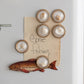 Mellow Monkey set of 6 resin seashell magnets, each featuring a unique shell under a clear dome with a gold rim.