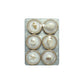 Mellow Monkey set of 6 resin seashell magnets, featuring various real shells under a clear dome with gold trim.