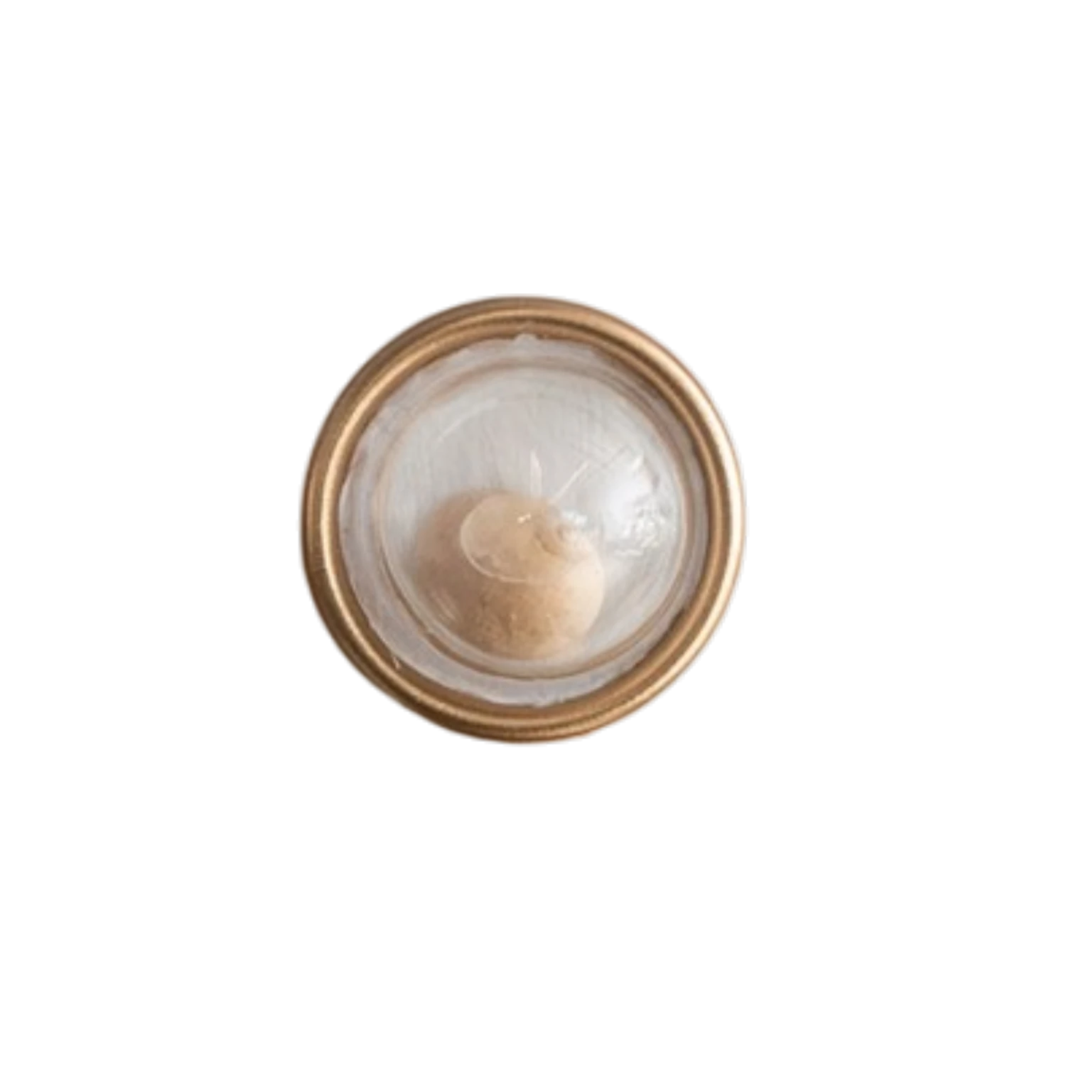 Mellow Monkey set of 6 resin seashell magnets, each featuring a real shell under a clear dome with a gold rim.