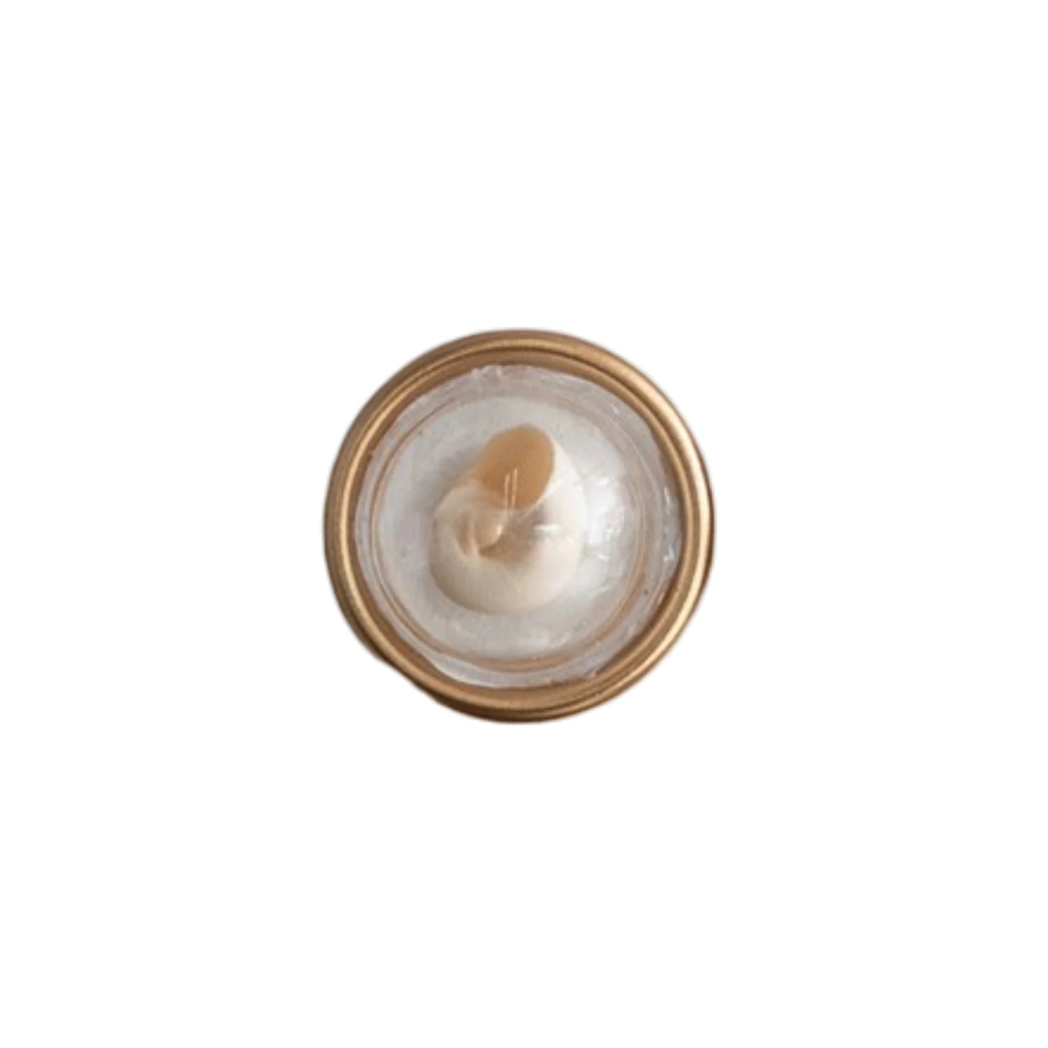 Mellow Monkey set of 6 resin seashell magnets, each featuring a real shell under a clear dome with a gold rim.