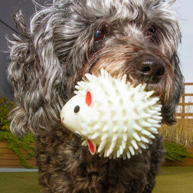 Mellow Monkey Kobe sheep dog ball, a white lamb-scented squeaky TPR toy held in a dog's mouth