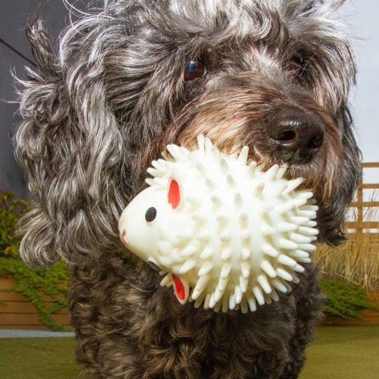 Mellow Monkey Kobe sheep dog ball, a white lamb-scented squeaky TPR toy held in a dog's mouth