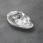 Mellow Monkey silver oyster-shaped bowl made of aluminum alloy, ideal for serving or decor.