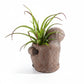 Mellow Monkey Sitting Sloth Blobhouse Planter - Bodhi, a charming poly-resin planter with a textured brown finish, holding a small green plant.