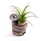 Mellow Monkey Sitting Sloth Blobhouse Planter - Bodhi, handcrafted poly-resin, brown, for small plants.