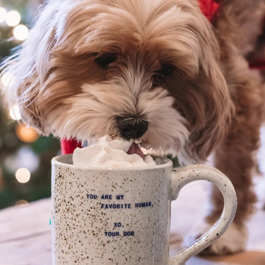 Mellow Monkey ceramic mug with speckles and You Are My Favorite Human quote, being licked by a fluffy brown dog.