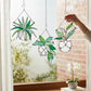 Mellow Monkey stained glass succulent suncatchers in hanging pots displayed in a window