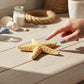 Mellow Monkey finger bleached starfish, 2-2.5 inches, natural beige color with textured surface.