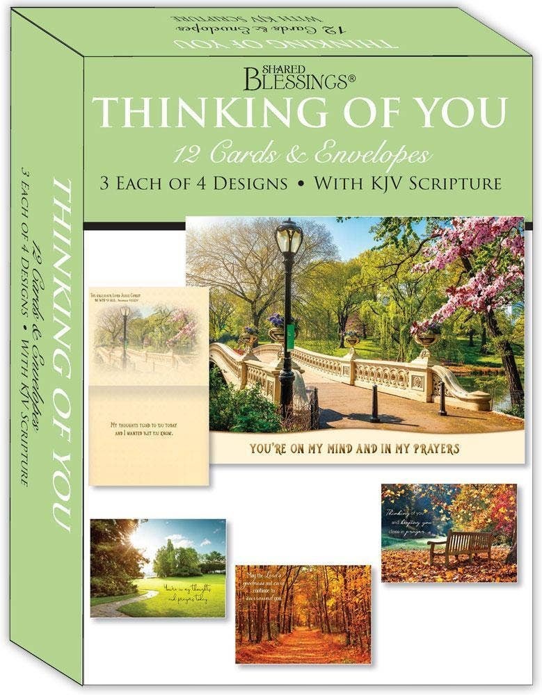 Mellow Monkey boxed set of 12 faith-based Thinking of You greeting cards featuring KJV scripture and nature scenes.