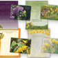 Mellow Monkey Thinking of You boxed greeting cards featuring floral and bird illustrations with KJV scripture verses.