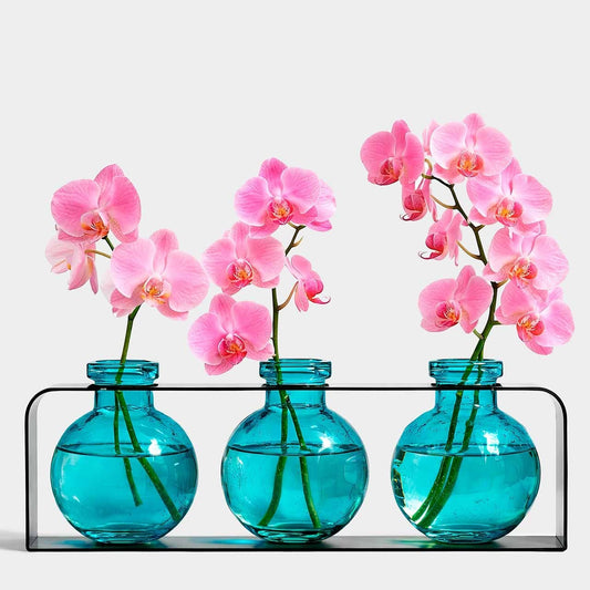 Mellow Monkey Trivo triple aqua recycled glass vases in a black metal stand with pink orchid stems