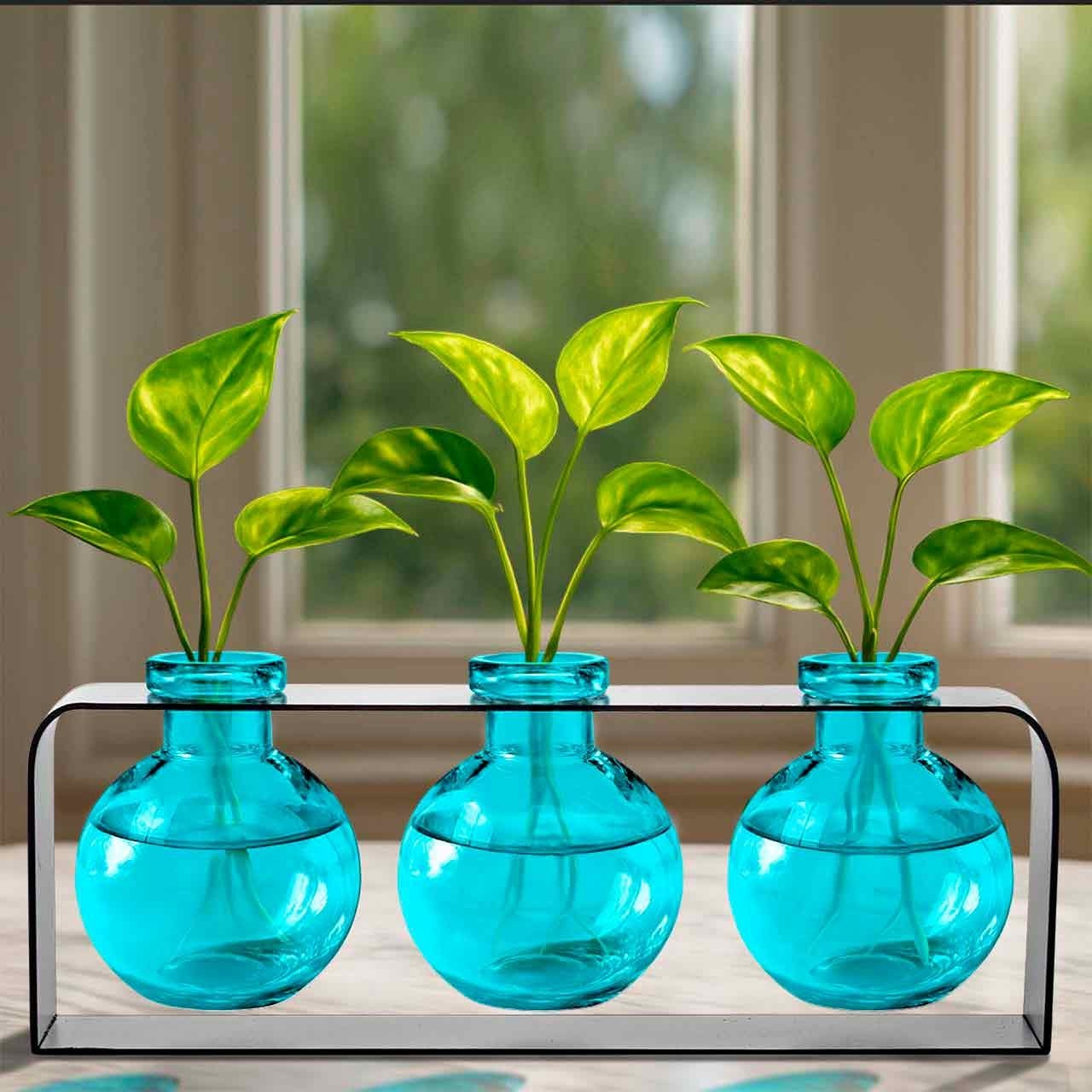 Mellow Monkey Trivo triple aqua recycled glass ball vases in a sleek black metal stand with green plant cuttings.