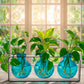 Mellow Monkey Trivo triple aqua recycled glass vases in a sleek black metal stand with green pothos plant cuttings.