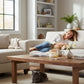 Mellow Monkey Pet House Vanilla Sandalwood candle on a rustic wooden coffee table in a cozy living room with pets