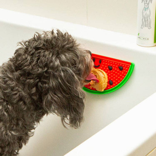 Mellow Monkey Kobe watermelon silicone lick mat with peanut butter, suctioned to a bathtub wall for dog grooming