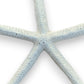 Mellow Monkey bleached white finger starfish, 10-12 inches, ideal for coastal decor and crafts.