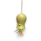 Mellow Monkey yellow ceramic hanging planter shaped like a whimsical creature with a live Tillandsia air plant