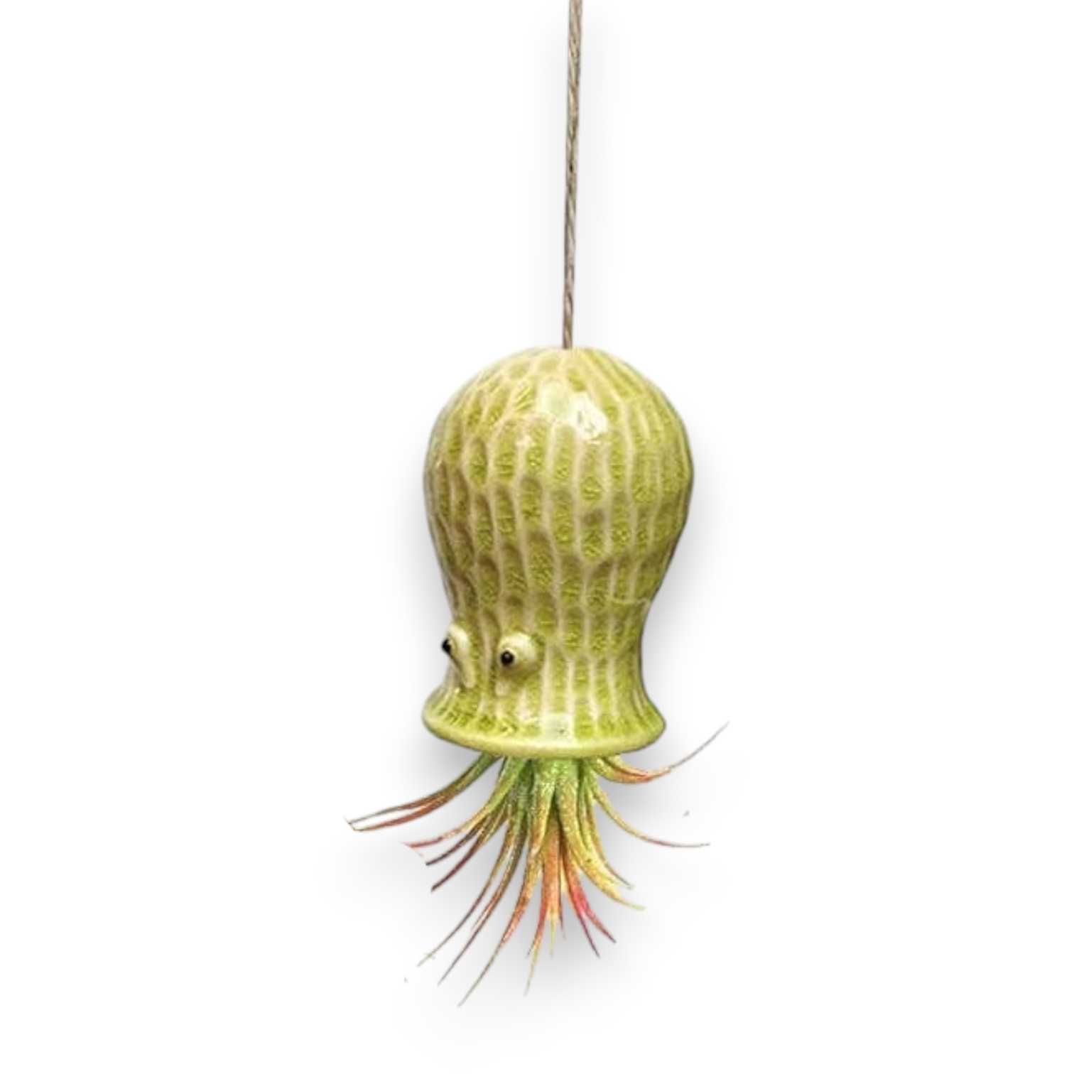 Mellow Monkey yellow ceramic hanging planter shaped like a whimsical creature with a live Tillandsia air plant