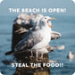 The Beach Is Open! Steal The Food! - Coaster - 4-in - Mellow Monkey