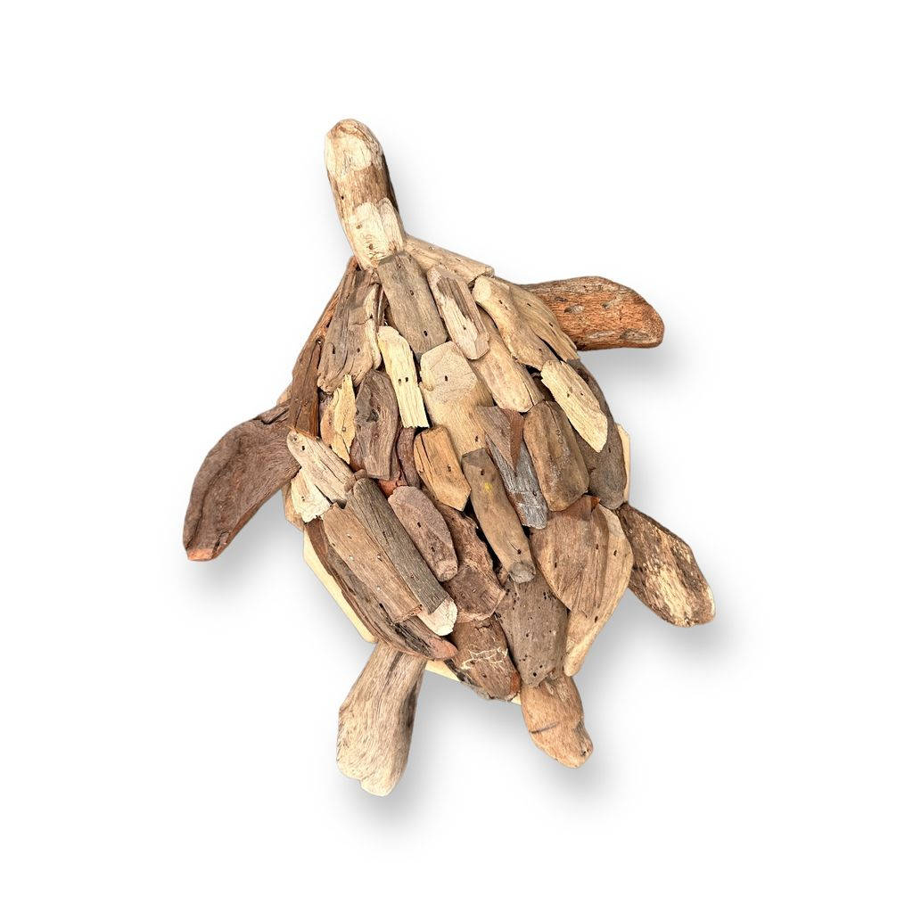 Driftwood Turtle - Wall Decor - Mellow Monkey