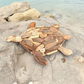 Driftwood Turtle - Wall Decor - Mellow Monkey