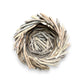 Decorative Driftwood Nest - 9-in - Mellow Monkey