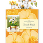 Serenity Orchid - Pop-Up Greeting Card - Mellow Monkey